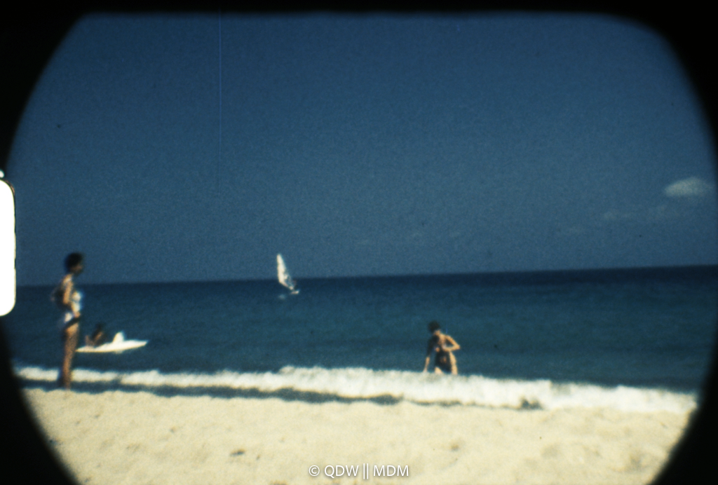Frame 2981