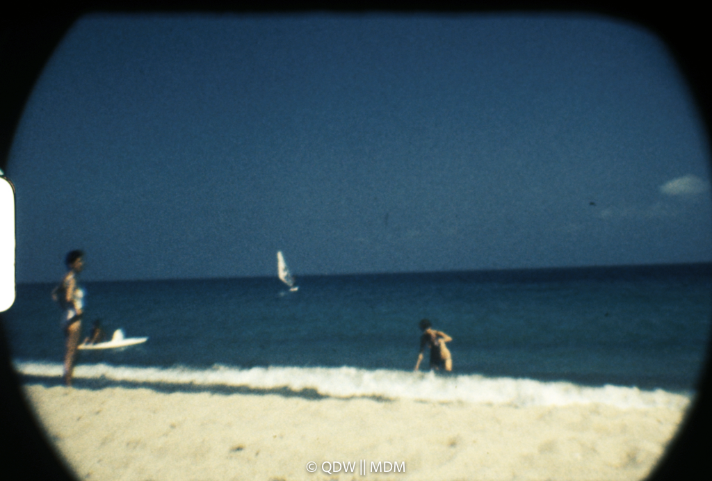 Frame 2984