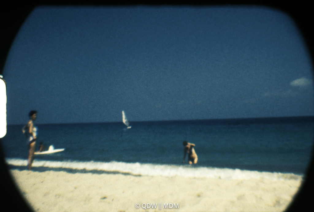 Frame 2986