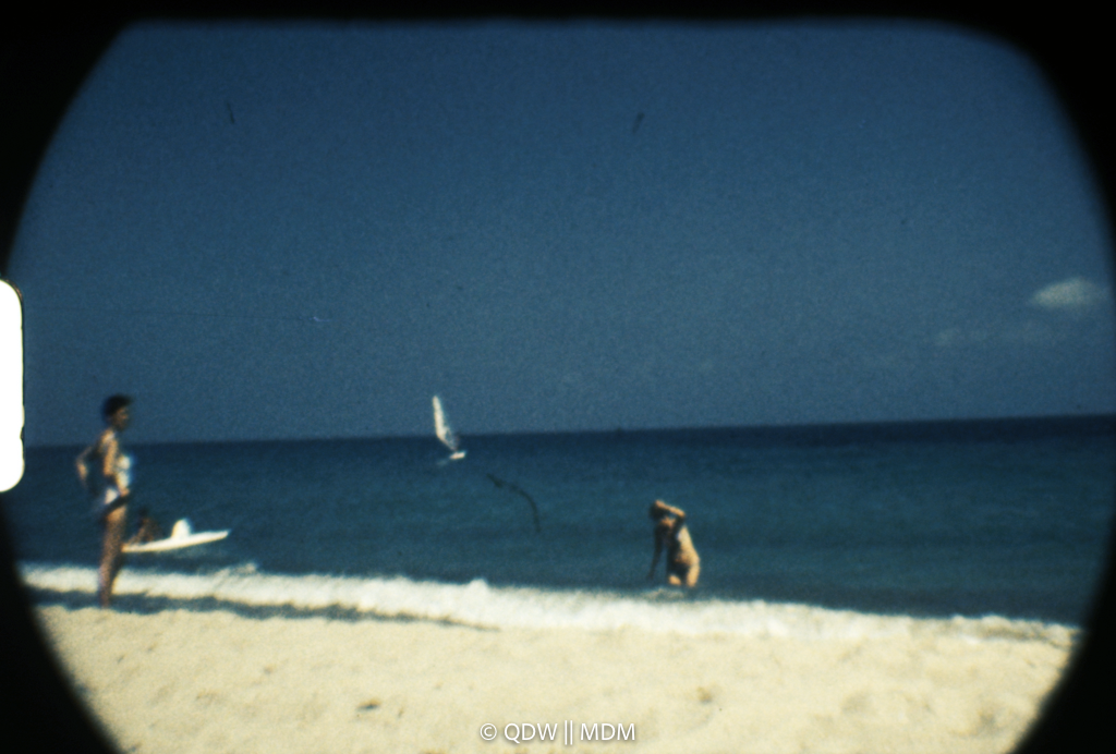 Frame 2988