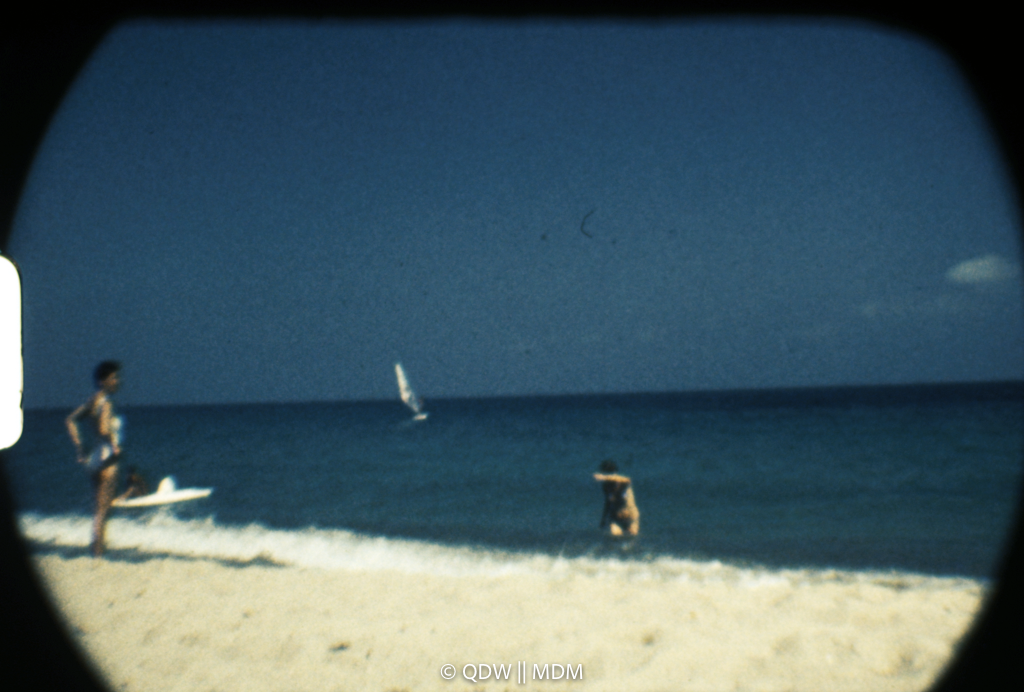 Frame 2993
