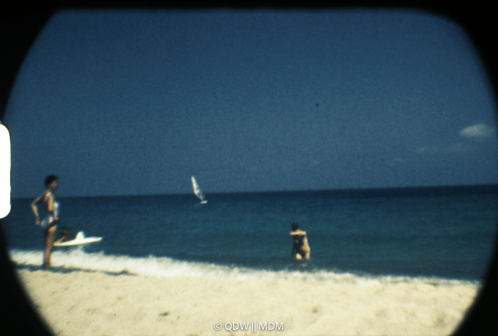 Frame 2994