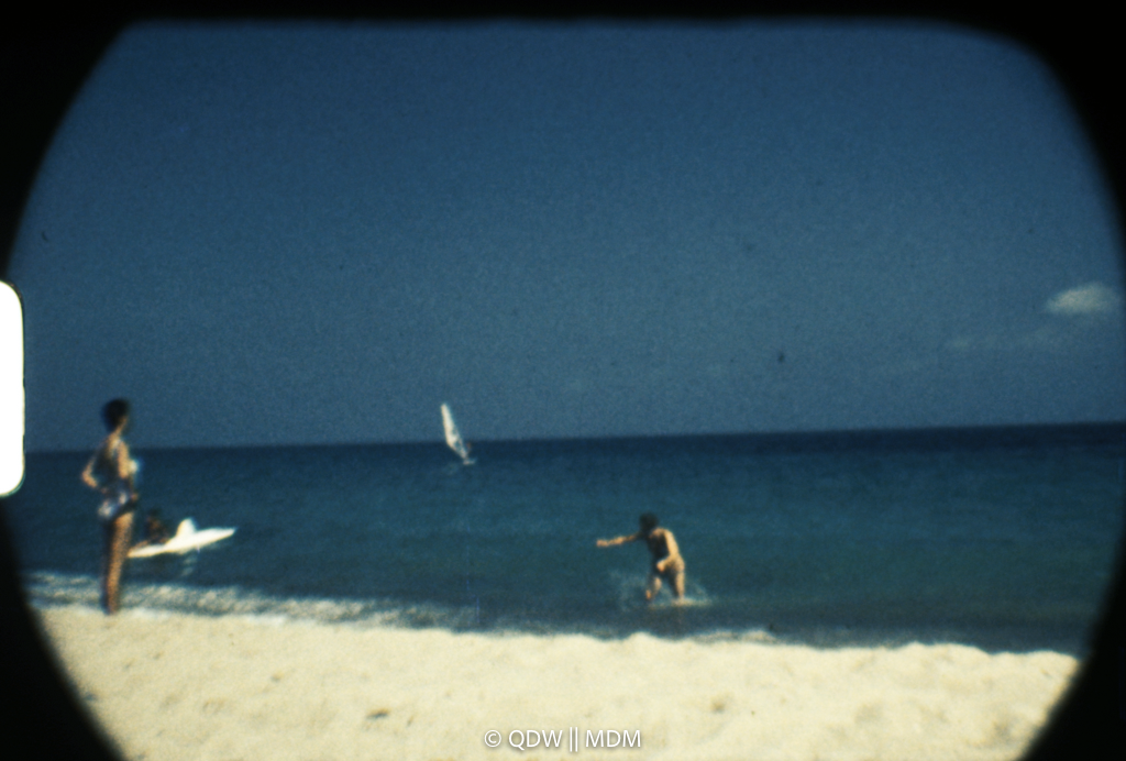 Frame 3009