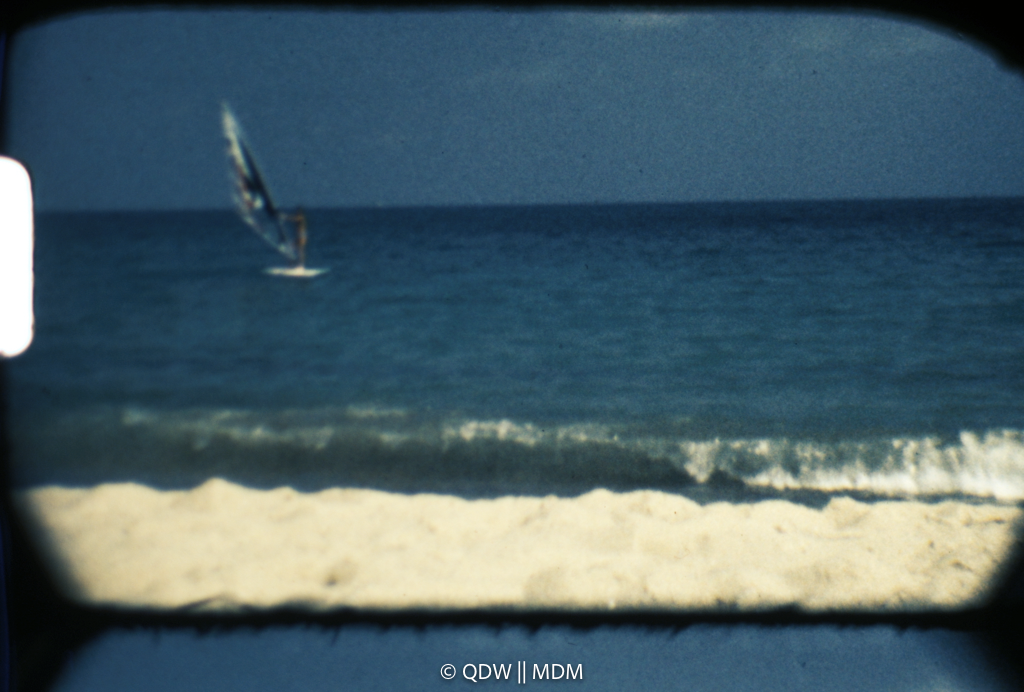 Frame 3077